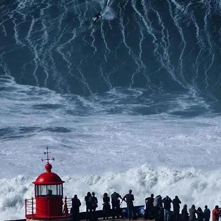 Casa Do Sol - - Nazare Alcobaca Vakantieboerderij Coz