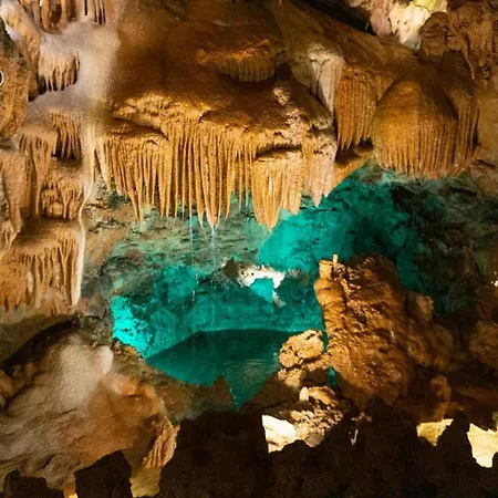 Vakantieboerderij Casa Do Sol - - Nazare Alcobaca *