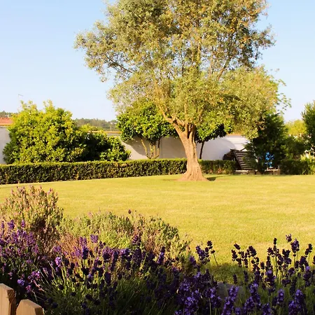 Vakantieboerderij Casa Do Sol - - Nazare Alcobaca Coz