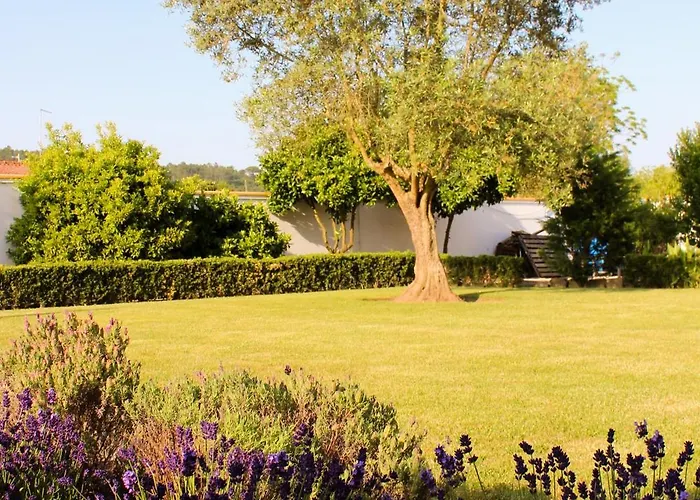 Feriegård Casa Do Sol - - Nazare Alcobaca Coz